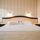 Caprioara SPA  Wellness Resort