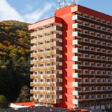 Hotel Cozia