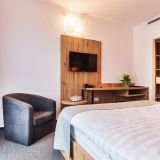 Hotel Domnitei