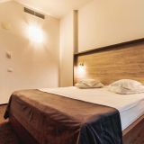 Hotel Domnitei