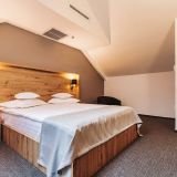 Hotel Domnitei