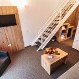 Hotel Domnitei