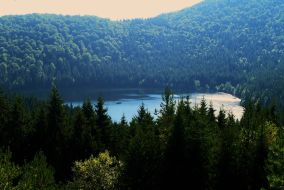Statiunea Covasna
